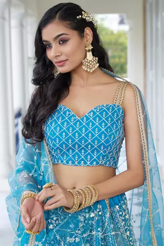 sky blue Butterfly Net Embroidery Thread Designer Lehenga