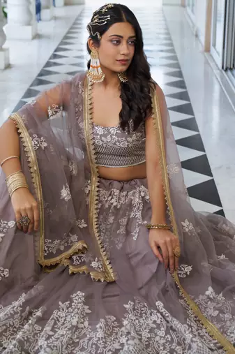 grey Butterfly Net Embroidery Thread Designer Lehenga