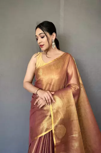Dusty Kanjivaram Style of tissue silk zari weaving border Pallu saree with Blouse