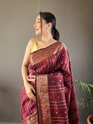Brown Nidhi Banarsi style copper zari silk bland border & Rich Pallu Saree with Blouse 3