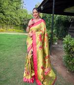 Pista Renuka Paithani style Golden zari silk bland border & contrust pallu Saree with Blouse