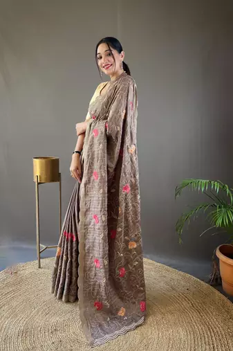 Brown Leelavanti tussar silk bland embroidary work saree with Blouse