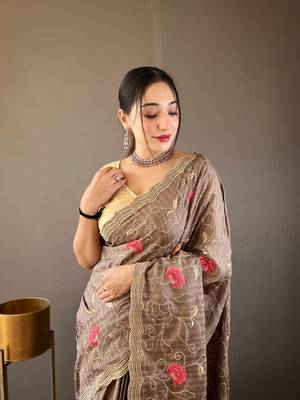 Brown Leelavanti tussar silk bland embroidary work saree with Blouse 3