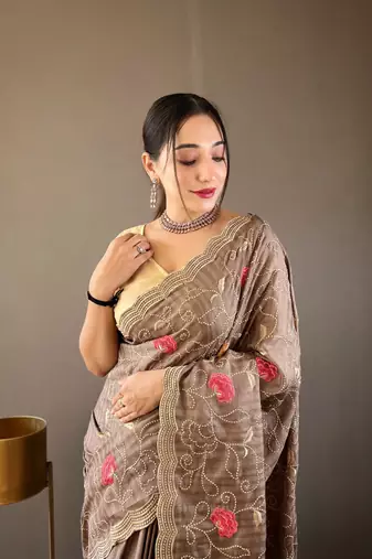 Brown Leelavanti tussar silk bland embroidary work saree with Blouse