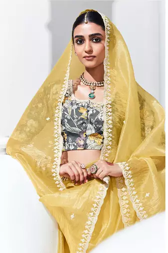 Light Yellow Tissue Organza Embroidered Saree