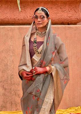 Organza Printed Grey Saree 2