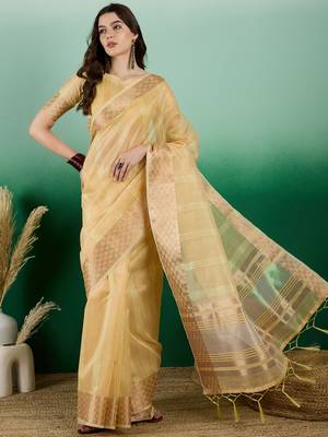 Sea Green Traditional Khadi Organza c Zari Woven Saree Festive Traditional Looks 1