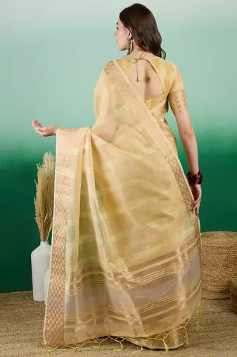 Sea Green Traditional Khadi Organza c Zari Woven Saree Festive Traditional Looks