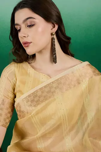 Sea Green Traditional Khadi Organza c Zari Woven Saree Festive Traditional Looks