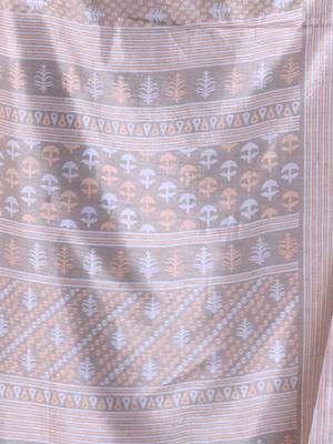 Ecru silk soft saree with texture print 4