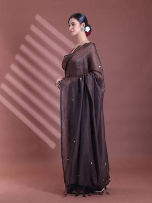 Brown pure cotton soft saree with sequined work 2