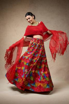 Hand Embroidred Lehenga With Drape Blouse And Feather Dupatta 1