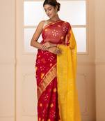 Yellow & Red Zari Bandhani Saree