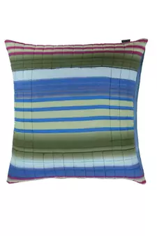 Cushion