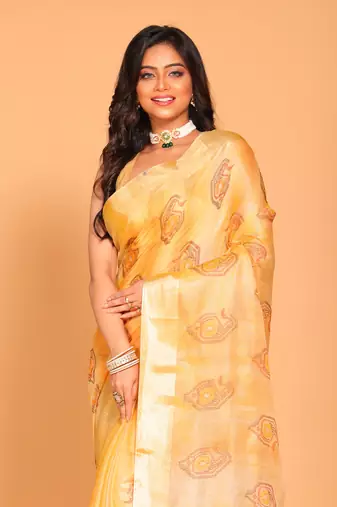 Kota tissue zari embroidery saree (yellow)