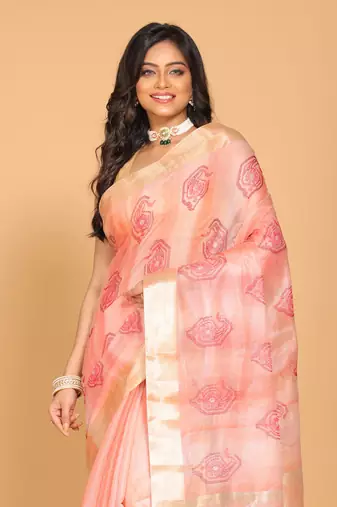 Kota tissue zari embroidery saree (red)