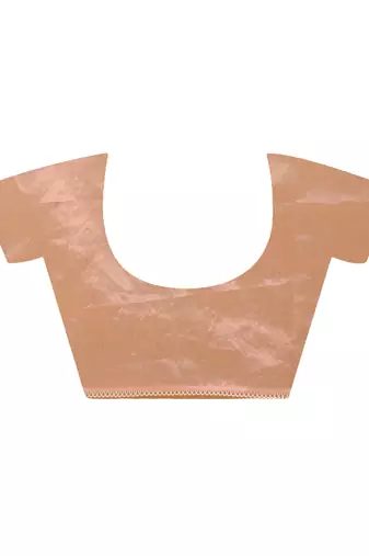 Orzanga stripe embroidery saree (peach)