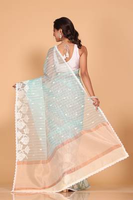 Orzanga stripe embroidery saree (sky blue) 4