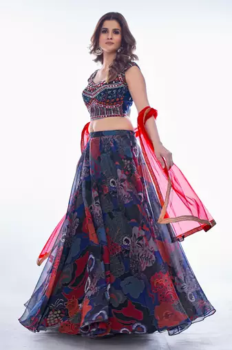 Multi-Color Embroidered Sweetheart Neck Lehenga Choli