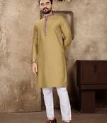 Chiku linen silk straight kurta