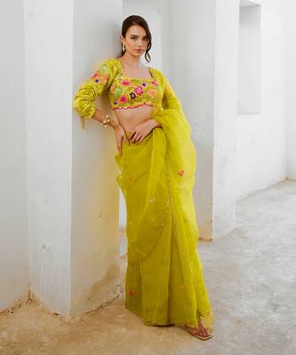 Gulbahar lemon green dil-bagh saree blouse set 2