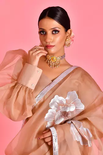 Beige hand painted organza fusion saree with stiched blouse