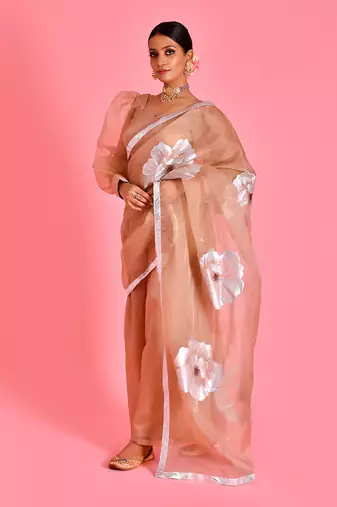 Beige hand painted organza fusion saree with stiched blouse
