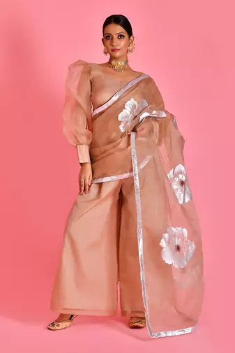 Beige hand painted organza fusion saree with stiched blouse