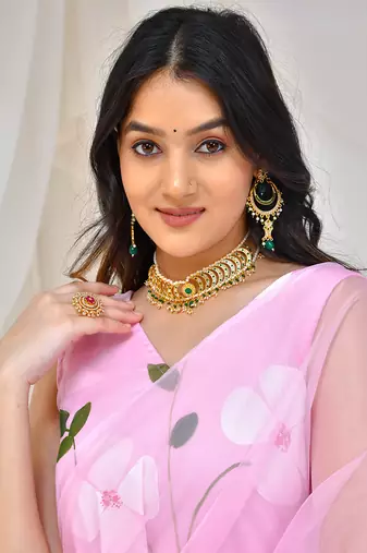 Pink Organza Hand Painted Gown Saree Without Blouse