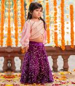 Pink velvet embroidered floral sequin lehenga blouse set
