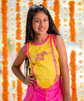 Yellow and pink tafetta silk embroidered mirror elephant motif lehenga with blouse 3