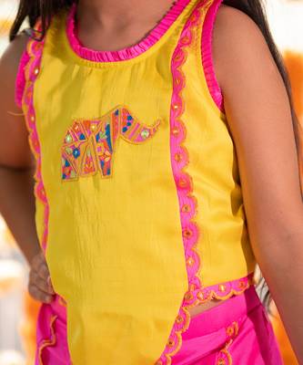 Yellow and pink tafetta silk embroidered mirror elephant motif lehenga with blouse 5