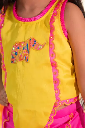 Yellow and pink tafetta silk embroidered mirror elephant motif lehenga with blouse