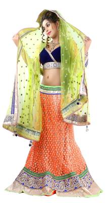 Designer Net Fabric  Multi Colored Embroidered Lahenga Choli 1
