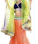 Designer Net Fabric  Multi Colored Embroidered Lahenga Choli