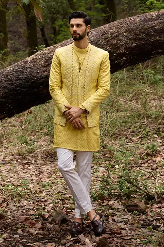 Mellow ascetic indowestern jacket set