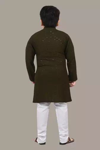 Boys chikankari sequins viscose rayon kurta pajama set for boys - mehndi green