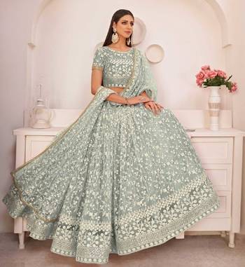 Green Embroidered Net Lehenga Choli Set 1
