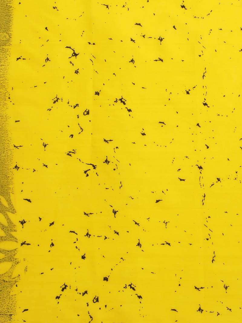 Elegant Floral Mulmul Cotton Block Printed Saree with Blouse Piece