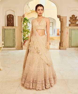 Beige Embroidery Viscose Organza Lehenga Set 1