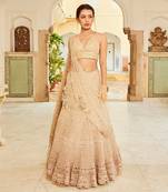 Beige Embroidery Viscose Organza Lehenga Set