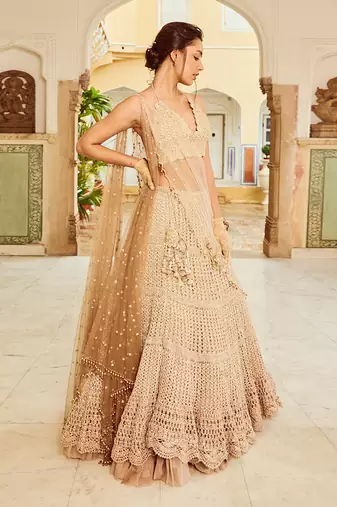 Beige Embroidery Viscose Organza Lehenga Set