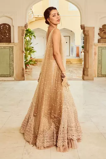 Beige Embroidery Viscose Organza Lehenga Set