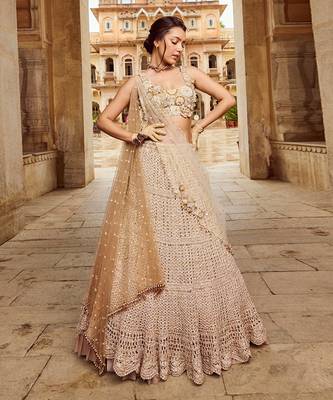 Beige Embroidery  Viscose Organza Lehenga Set 1