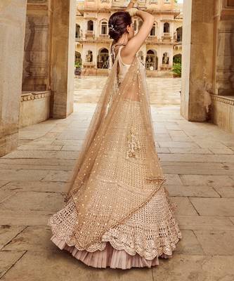 Beige Embroidery  Viscose Organza Lehenga Set 3