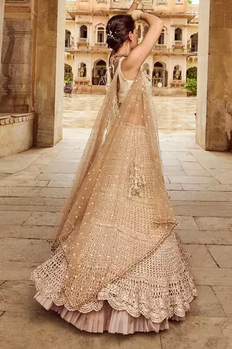 Beige Embroidery  Viscose Organza Lehenga Set