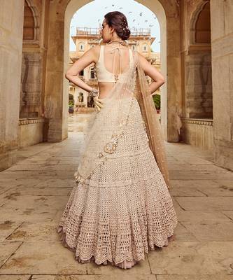 Beige Embroidery  Viscose Organza Lehenga Set 4