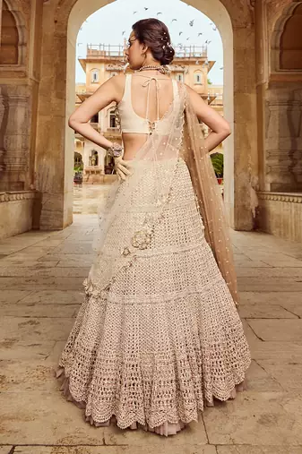 Beige Embroidery  Viscose Organza Lehenga Set