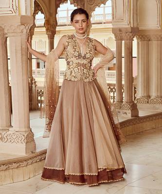 Beige Embroidery  Viscose Organza Lehenga Set 2