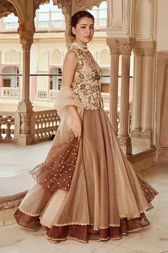 Beige Embroidery  Viscose Organza Lehenga Set